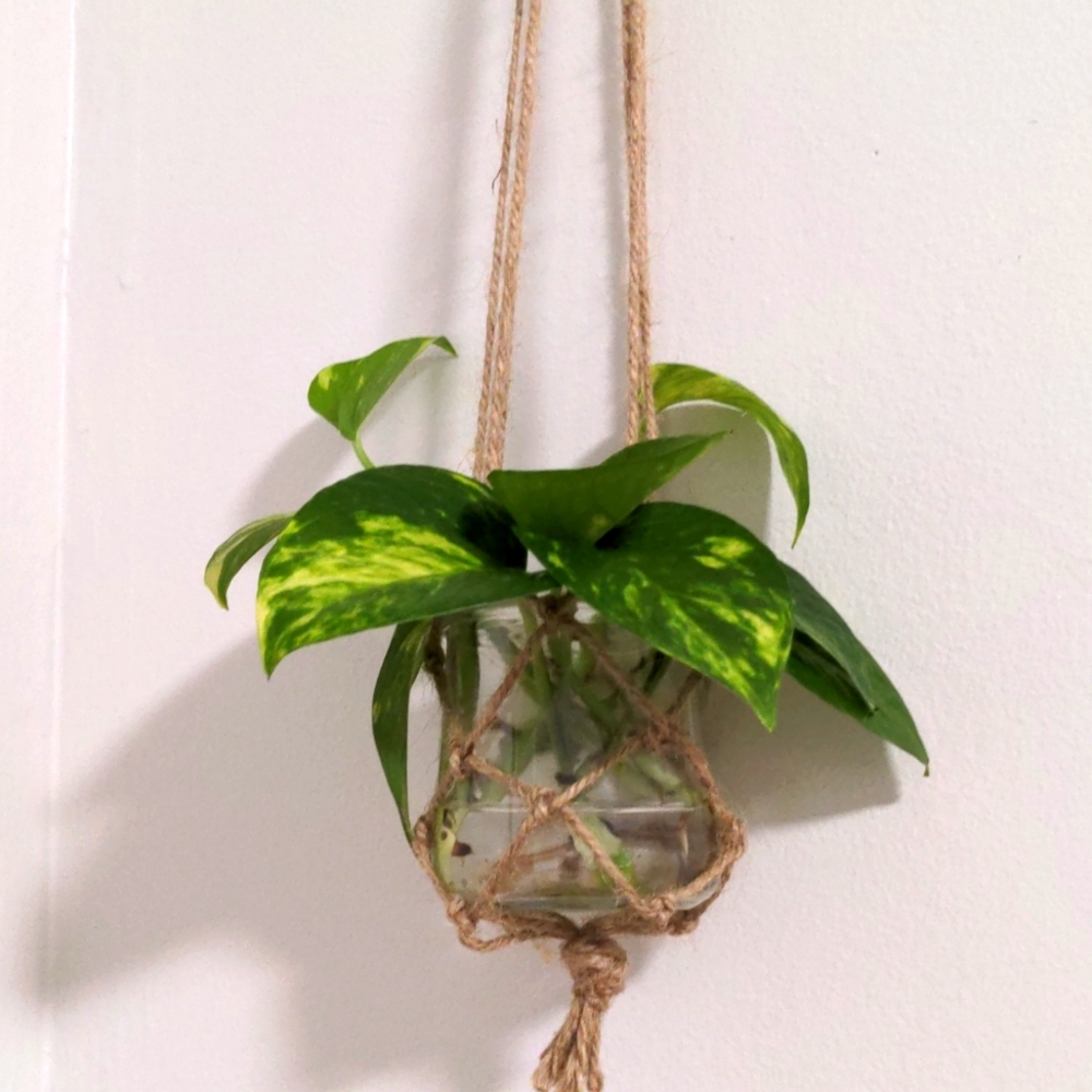 Macrame Plant Hangers Indoor Jute Hanging Planter (plant not included)